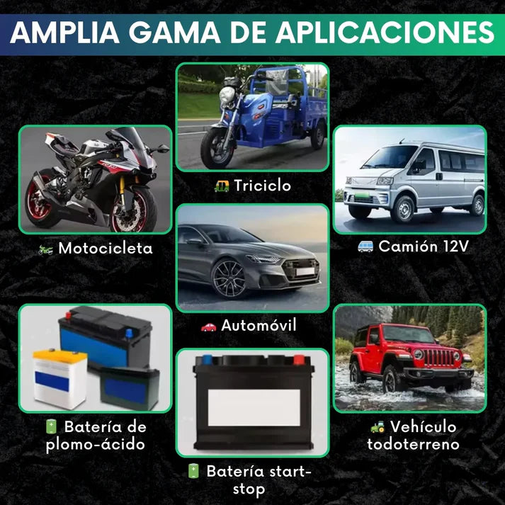 Cargador de Bateria para Carro